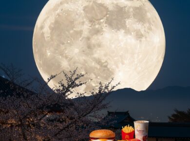 マックを1万円分買った話